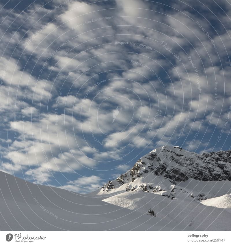 ein schäfchen... zwei schäfchen...drei... Natur Landschaft Himmel Wolken Winter Wetter Schönes Wetter Felsen Alpen Berge u. Gebirge Gipfel Schneebedeckte Gipfel