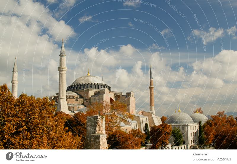 Istanbuls magische Hagia Sofia Lifestyle Ferien & Urlaub & Reisen Tourismus Abenteuer Sightseeing Natur Luft Wolkenloser Himmel Baum Park Hagia Sophia Türkei