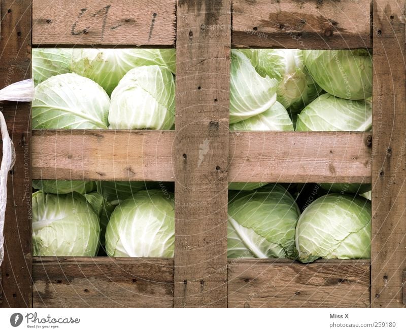 Kohlkiste Lebensmittel Gemüse Salat Salatbeilage Ernährung frisch Gesundheit lecker Obstkiste Kohlgewächse Holzkiste Wochenmarkt Gemüsemarkt Gemüseladen