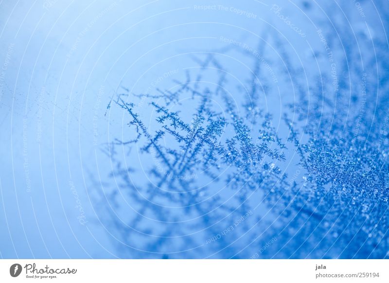 frozen effect Winter Eis Frost Glas ästhetisch blau gefroren Wasser Farbfoto Außenaufnahme Strukturen & Formen Menschenleer Tag