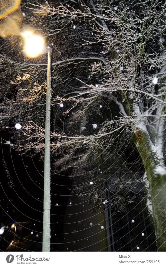Wintermärchen V Nachthimmel schlechtes Wetter Schnee Schneefall Baum dunkel kalt Straßenbeleuchtung Farbfoto Außenaufnahme Menschenleer Blitzlichtaufnahme