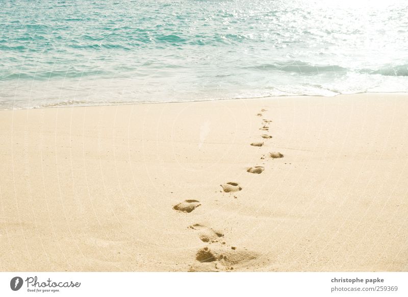 Wo kommen wir her? Wo gehen wir hin? Sommer Sommerurlaub Sonne Meer Wellen Küste Strand Portugal Menschenleer Fußspur Glück Bewegung Ferien & Urlaub & Reisen