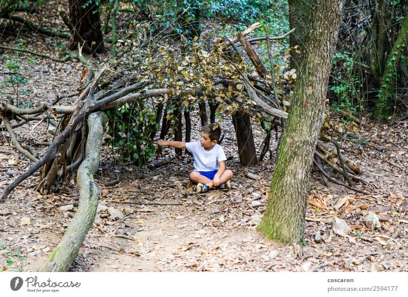 Kleiner Junge in seiner selbstgebauten Hütte im Wald. Lifestyle Freude Glück Leben Freizeit & Hobby Spielen Freiheit Sommer Haus Kind Mensch Kleinkind Kindheit