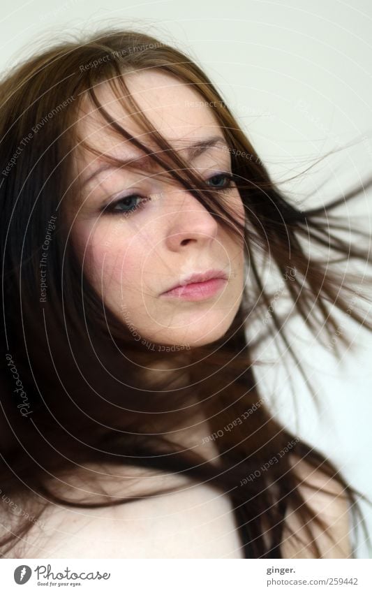 Vom Winde verweht, der Dinge harrend. Mensch feminin Junge Frau Jugendliche Erwachsene Leben Kopf Gesicht 1 18-30 Jahre Haare & Frisuren brünett langhaarig