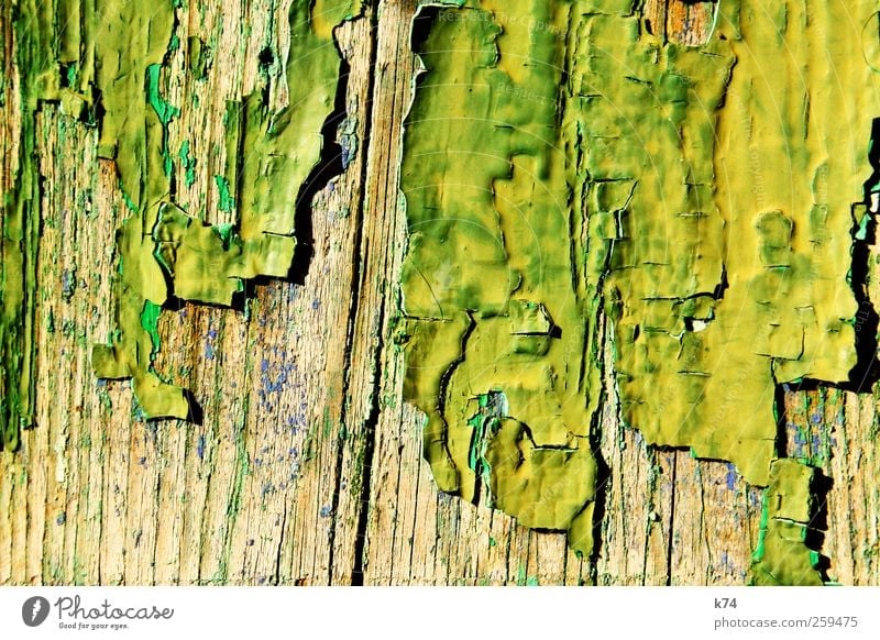 wood & paint Holz alt gelb grün Verfall Vergänglichkeit Wandel & Veränderung Farbstoff abblättern Hintergrundbild Farbfoto mehrfarbig Außenaufnahme Menschenleer