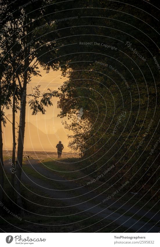 Mann läuft Silhouette bei Sonnenaufgang Lifestyle Freiheit Sport Sportler Joggen Erwachsene 1 Mensch Natur Landschaft Herbst Nebel Baum Wald sportlich Erfolg