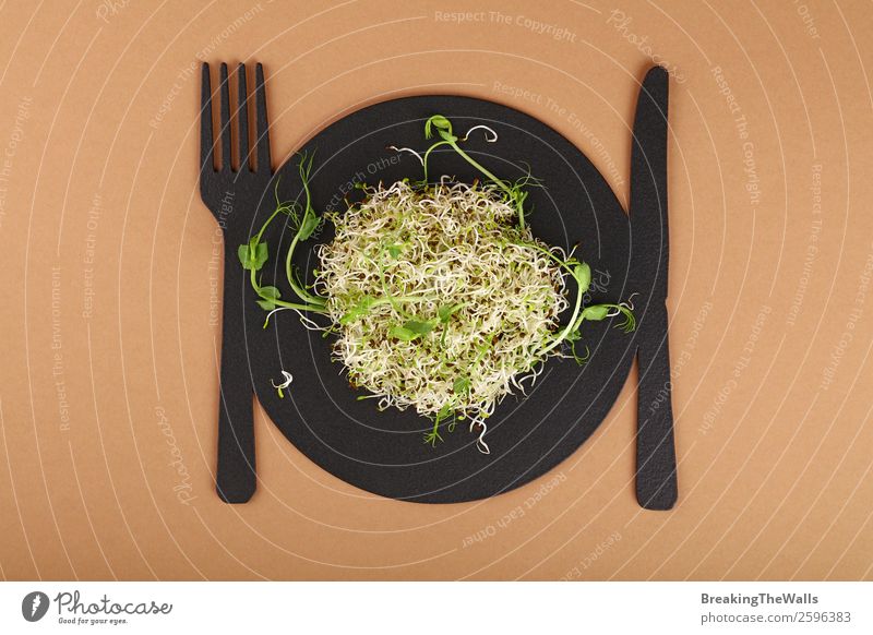 Nahaufnahme von frischer Mungbohne und grünem Erbsen-Mikrogrün-Salat Lebensmittel Gemüse Salatbeilage Ernährung Bioprodukte Vegetarische Ernährung Diät Geschirr
