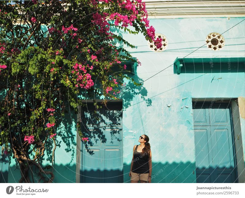 Cartagena Ferien & Urlaub & Reisen Tourismus Städtereise Sommer Sommerurlaub feminin 1 Mensch Schönes Wetter Pflanze Baum Blume Efeu Kolumbien Dorf Fischerdorf