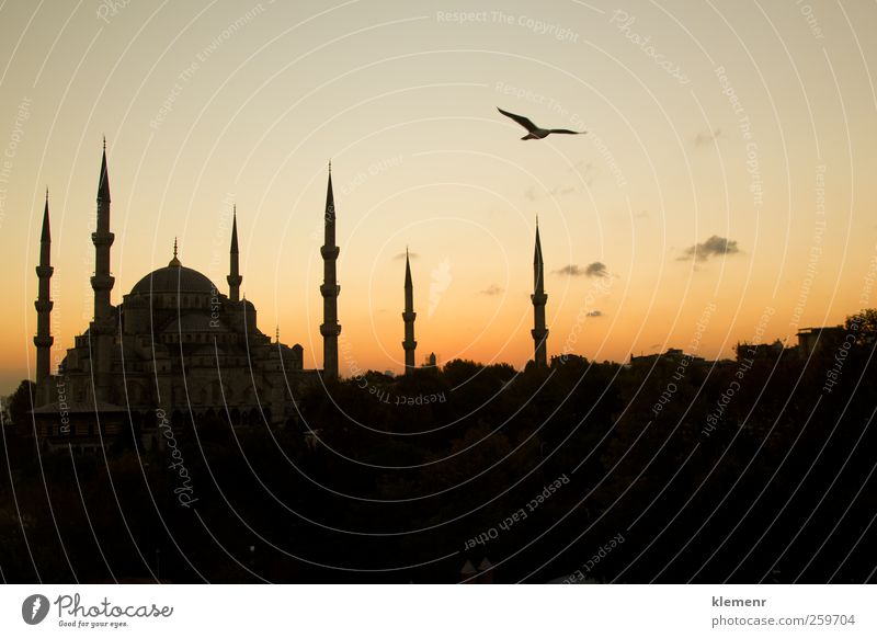 Die schöne blaue Moschee in Istanbul bei Sonnenuntergang Ferien & Urlaub & Reisen Tourismus Landschaft Erde Kirche Gebäude Architektur Denkmal historisch rosa