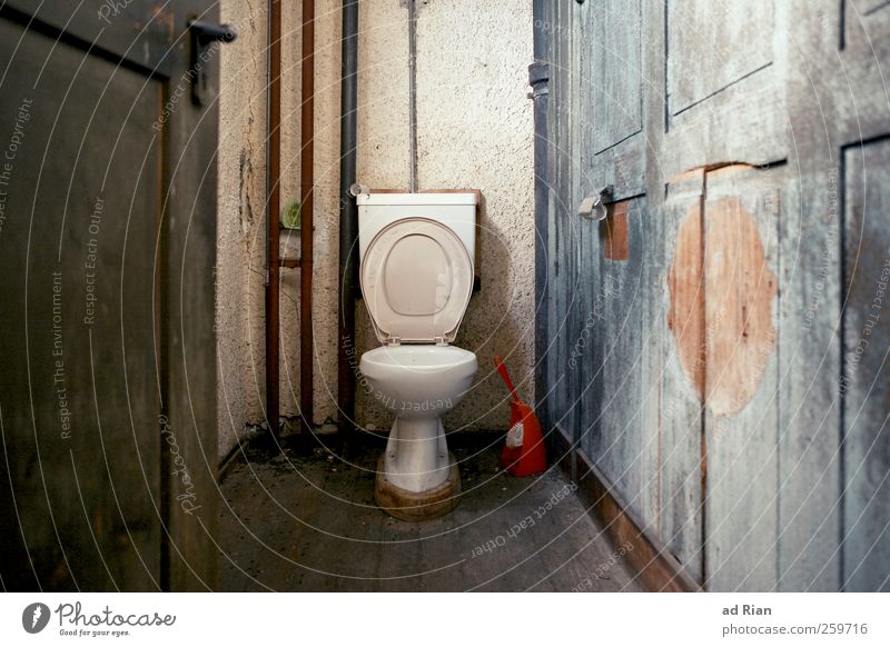 Royal flush Mauer Wand Toilette Toilettenpapier Autotür eitel Farbfoto Totale