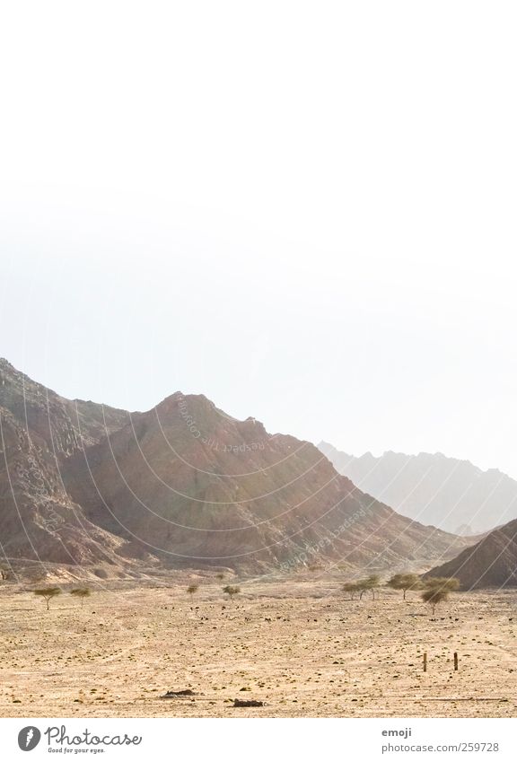 arid Natur Landschaft Sonne Sonnenlicht Wärme Dürre Hügel Felsen Berge u. Gebirge Wüste trocken gelb Sonnenstrahlen Sand Farbfoto Außenaufnahme Menschenleer