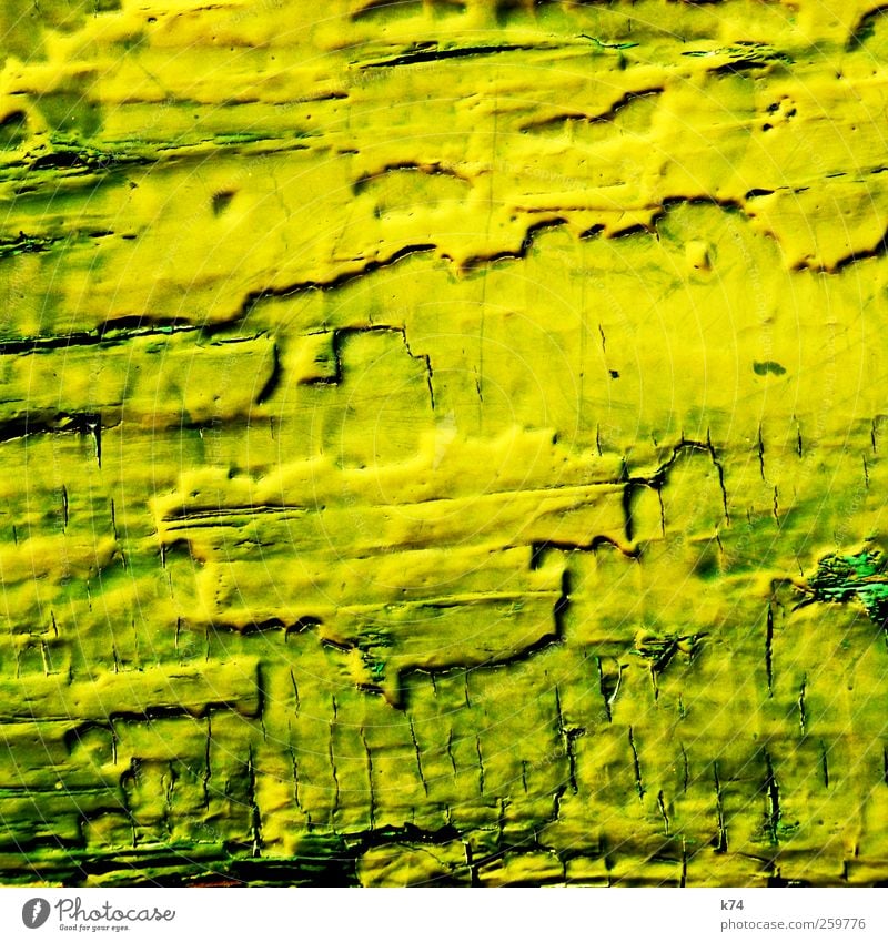 grün zu gelb Holz alt verrückt Schutz Verfall Vergänglichkeit Wandel & Veränderung Lack Hintergrundbild Erosion Farbfoto mehrfarbig Außenaufnahme Detailaufnahme