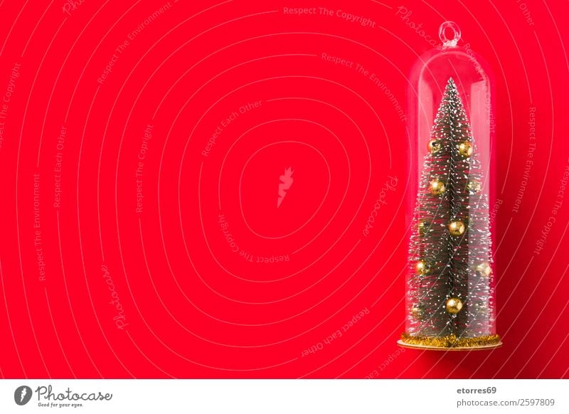 Weihnachtsbaum und Schnee auf leuchtend rotem Hintergrund. Weihnachten & Advent Baum Dekoration & Verzierung Dezember Jahreszeiten Saison