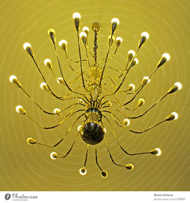 Erleuchtung für Spinnenliebhaber Haus Lampe Metall leuchten ästhetisch außergewöhnlich elegant hell historisch Kitsch gold Gefühle Stimmung Reinlichkeit
