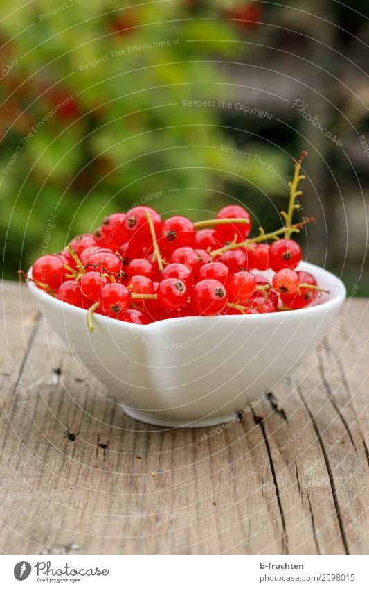 Eine Schüssel Johannisbeeren Lebensmittel Frucht Ernährung Bioprodukte Vegetarische Ernährung Gesunde Ernährung Sommer wählen frisch Gesundheit rot genießen