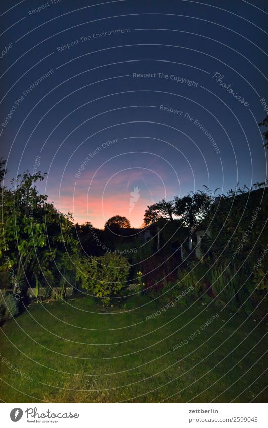 Dämmerung im Gärtchen Abend dunkel Farbe Farbenspiel Feierabend Himmel Himmel (Jenseits) Hintergrundbild Menschenleer Romantik Sonnenuntergang spektral