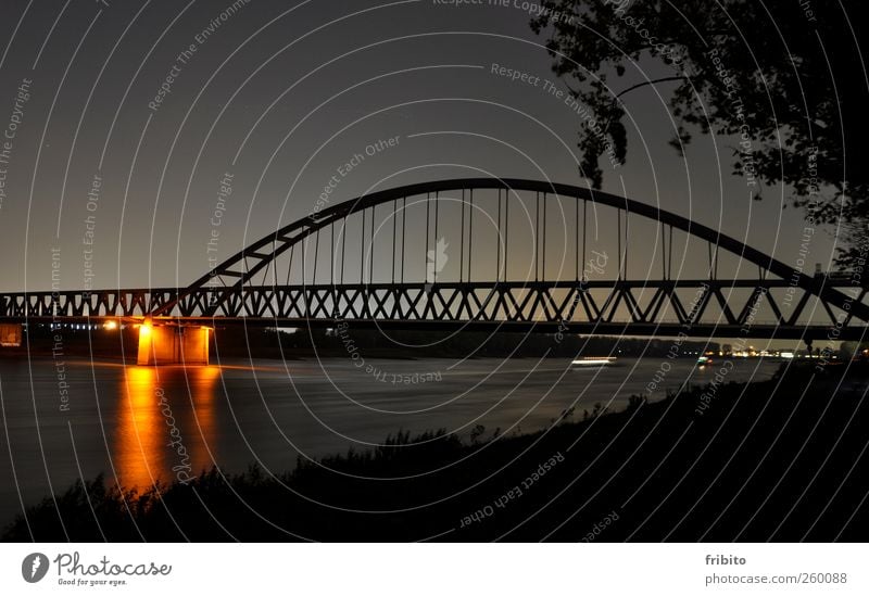 Der Rhein Städtereise Architektur Landschaft Tier Urelemente Wasser Himmel Nachthimmel Sträucher Flussufer Düsseldorf Stadt Brücke Bauwerk Bahnfahren Eisenbahn