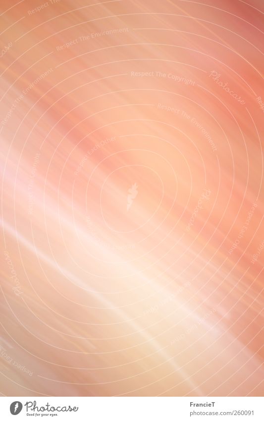 schräg Stil Design harmonisch Sinnesorgane Wellen Kunst Sonnenlicht Sommer Linie Streifen exotisch hell modern positiv Wärme weich mehrfarbig gelb rosa rot weiß