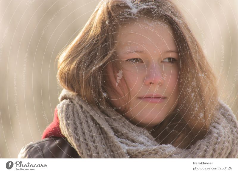 Eiskalter Schnee feminin Junge Frau Jugendliche Schwester 1 Mensch Winter Leder Schal brünett langhaarig genießen Blick schön Farbfoto mehrfarbig Außenaufnahme