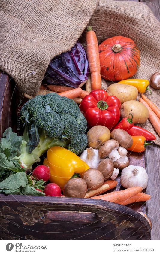 erntefrisches Gemüse Lebensmittel Salat Salatbeilage Ernährung Bioprodukte Vegetarische Ernährung Gesunde Ernährung Essen wählen Gesundheit Vielfältig Jutesack