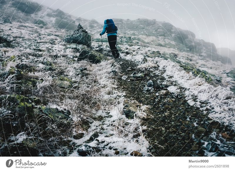 Wandern und erster Schnee Winter Berge u. Gebirge wandern Natur Landschaft Erde Wolken Herbst Wetter Wind Eis Frost Erholung laufen Unendlichkeit grau schwarz