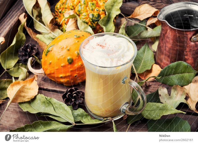 Kürbisgewürzkaffee mit Schlagsahne Kaffee Latte Herbst Lebensmittel trinken Getränk fallen Zimt rustikal heiß Sahne Gemüse geschmackvoll Cocktail lecker Tasse