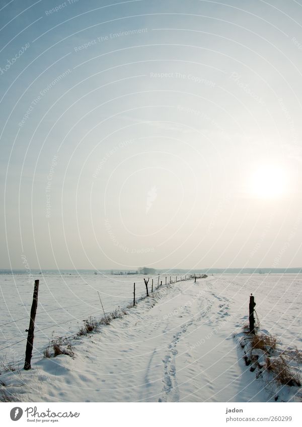 vorn ist das licht. Winter Schnee wandern Landschaft Himmel Eis Frost Feld hell kalt Heimweh Horizont Unendlichkeit Wege & Pfade Ferne Brandenburg Weidezaun