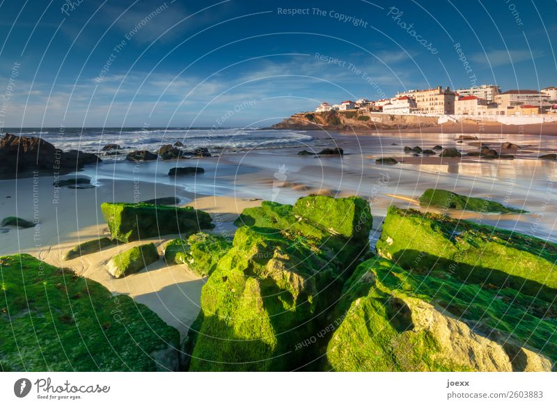Grüne Felsen mit Algen am Atlantik-Strand mit Fischerdorf im Hintergrund Ferien & Urlaub & Reisen Meer Portugal Himmel Sonnenlicht Sommer Schönes Wetter Wellen