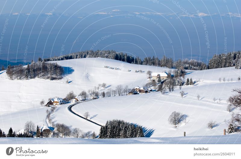 Blick vom Schauinsland bei Freiburg / Alpensicht Ferien & Urlaub & Reisen Tourismus Ausflug Abenteuer Ferne Freiheit Sightseeing Winter Schnee Winterurlaub