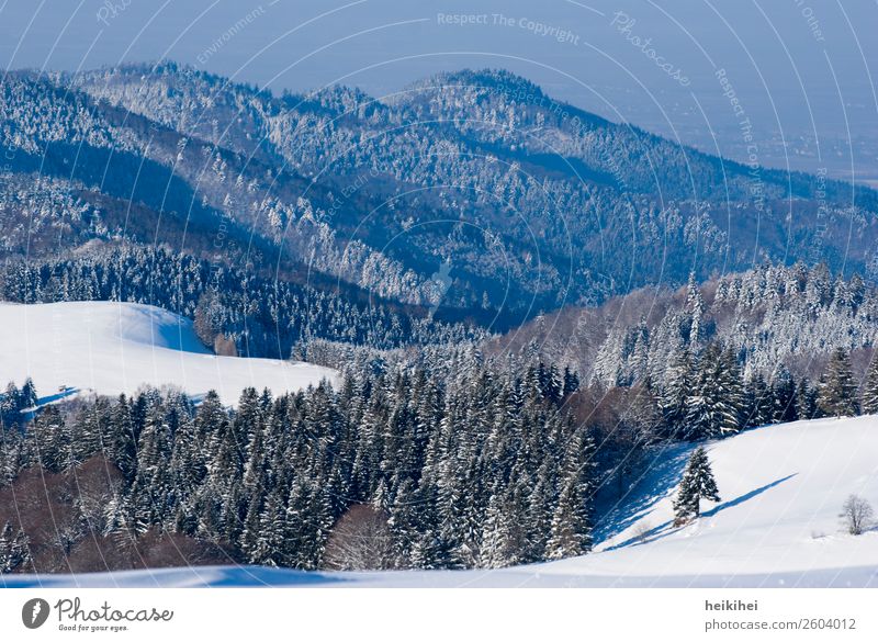 Wunderschöner Schwarzwald Ferien & Urlaub & Reisen Tourismus Ausflug Abenteuer Ferne Freiheit Winter Schnee Winterurlaub Berge u. Gebirge wandern Natur