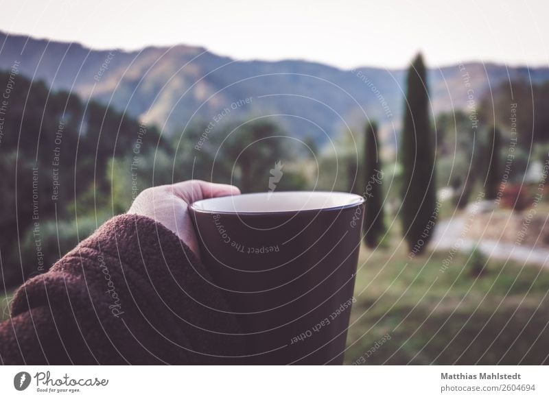 First coffee Getränk Kaffee Arme Finger Landschaft Herbst cypressen Berge u. Gebirge Toskana Italien Tasse Erholung trinken Gesundheit natürlich braun grün