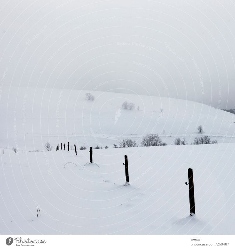 Orientierung Landschaft Luft Winter Wetter schlechtes Wetter Nebel Eis Frost Schnee Baum Feld Hügel Berge u. Gebirge kalt schwarz weiß Zaunpfahl