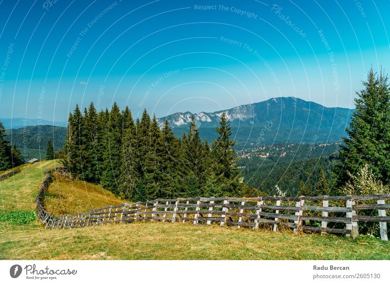 Karpatenlandschaft in Rumänien Berge u. Gebirge Landschaft schön Natur Wald Panorama (Bildformat) Himmel grün Aussicht Ferien & Urlaub & Reisen Hintergrundbild