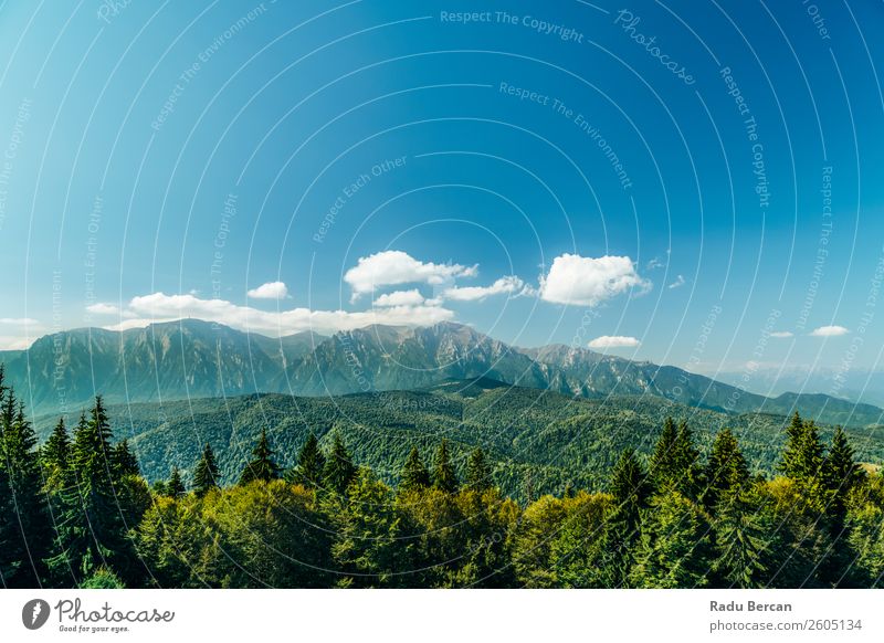 Karpatenlandschaft in Rumänien Berge u. Gebirge Landschaft schön Natur Wald Panorama (Bildformat) Himmel grün Aussicht Ferien & Urlaub & Reisen Hintergrundbild