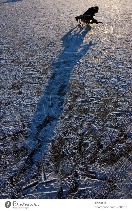 Eiszeit Schlitten Mensch Kind 1 8-13 Jahre Kindheit Urelemente Winter Schönes Wetter Frost Teich See Coolness kalt Eisfläche Farbfoto Außenaufnahme