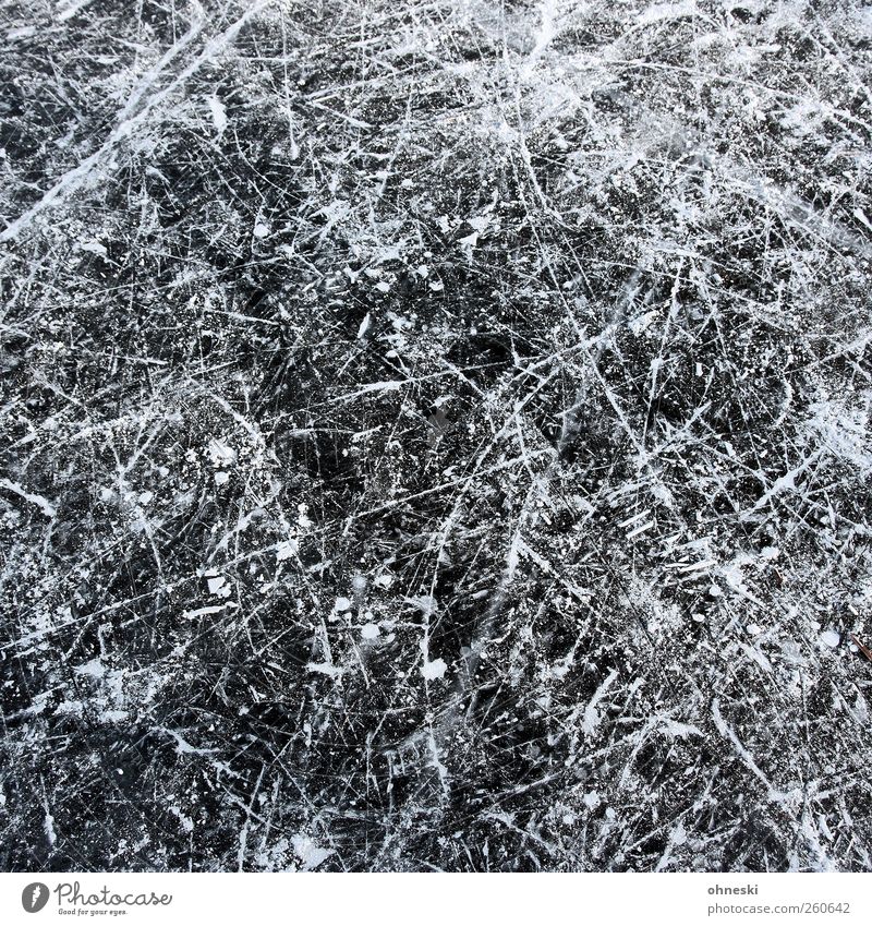 Eiskratzer Schlittschuhlaufen Urelemente Winter Frost Eisfläche Kratzer Linie kalt schwarz weiß chaotisch Wandel & Veränderung Wege & Pfade Gedeckte Farben