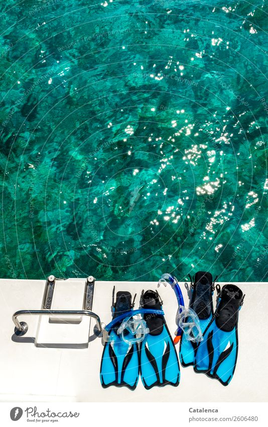 Aufgetaucht; Schwimmflossen und Taucherbrille mit Schnorchel auf der Heckklappe eines Bootes, das Meer leuchtet türkis Freizeit & Hobby Schnorcheln tauchen