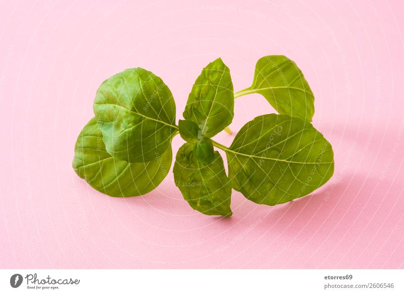 Basilikumblätter Blatt grün frisch Kräuter & Gewürze Minze aromatisch Pflanze Lebensmittel Zutaten organisch Natur weiß roh Gemüse Vegetarische Ernährung