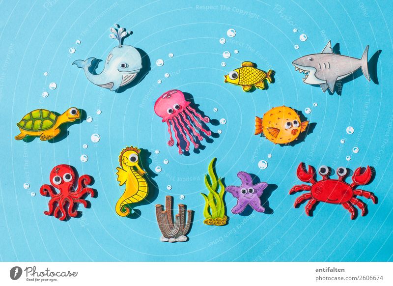 Gruppenfoto Freizeit & Hobby Basteln Moosgummi zeichnen Ferien & Urlaub & Reisen Tourismus Abenteuer Sommer Sommerurlaub Klimawandel Meer Tier Wildtier Fisch