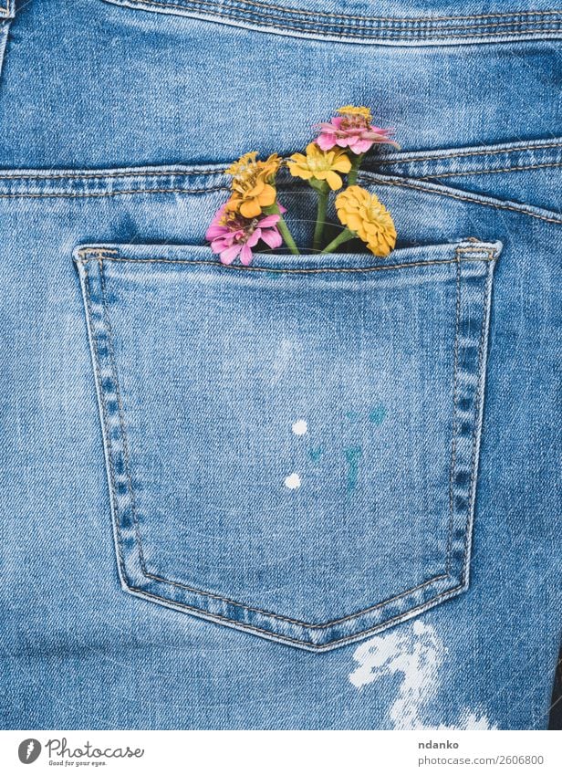 Blumen in der Gesäßtasche von Blue Jeans Stil Design Mode Bekleidung Jeanshose Stoff alt Blühend blau gelb Farbe Jeansstoff Tasche Rücken Konsistenz Hintergrund