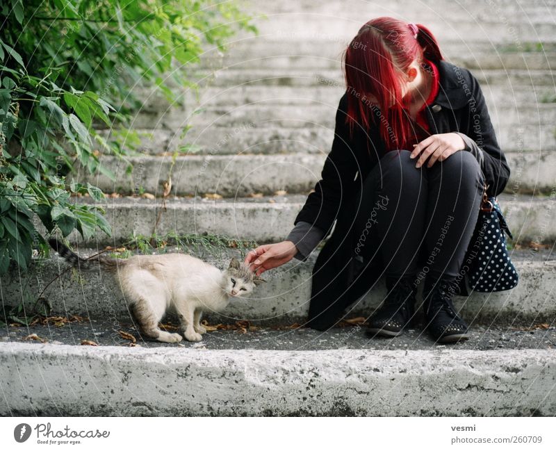 Freundschaft feminin Junge Frau Jugendliche Erwachsene Leben 1 Mensch 18-30 Jahre rothaarig langhaarig Haustier Katze Tier sitzen streichen Freundlichkeit