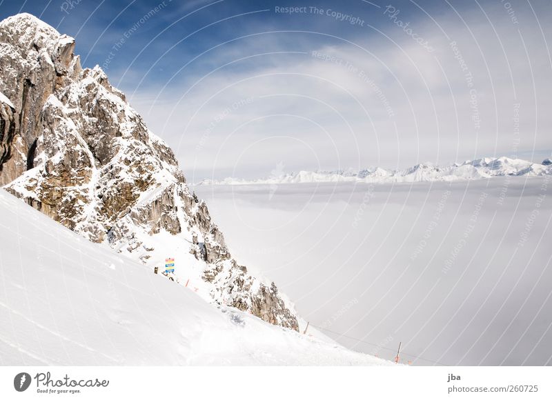 über dem Nebel Leben harmonisch Zufriedenheit Ausflug Freiheit Winter Schnee Winterurlaub Berge u. Gebirge wandern Landschaft Urelemente Wolken Schönes Wetter