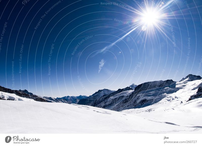 Gletscher Erholung ruhig Ausflug Abenteuer Freiheit Expedition Winter Schnee Winterurlaub Berge u. Gebirge Klettern Bergsteigen Natur Luft Himmel