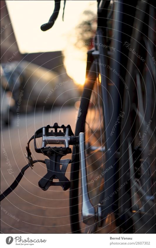 Schwarzes Rennrad an Goldenem Oktober Verkehr Verkehrsmittel Verkehrswege Personenverkehr Fahrradfahren Straße Stimmung goldener oktober Wärme Pause parken