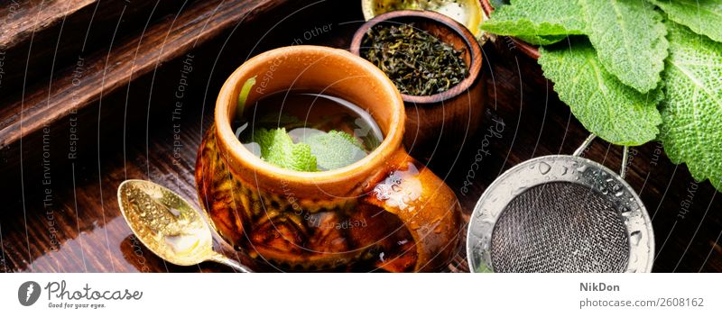 Kräutertee mit Salbei Tee trinken Tasse Kraut Pflanze heiß natürlich hölzern Kräuterbuch Medizin Gesundheit Getränk grün Aroma Frische aromatisch medizinisch