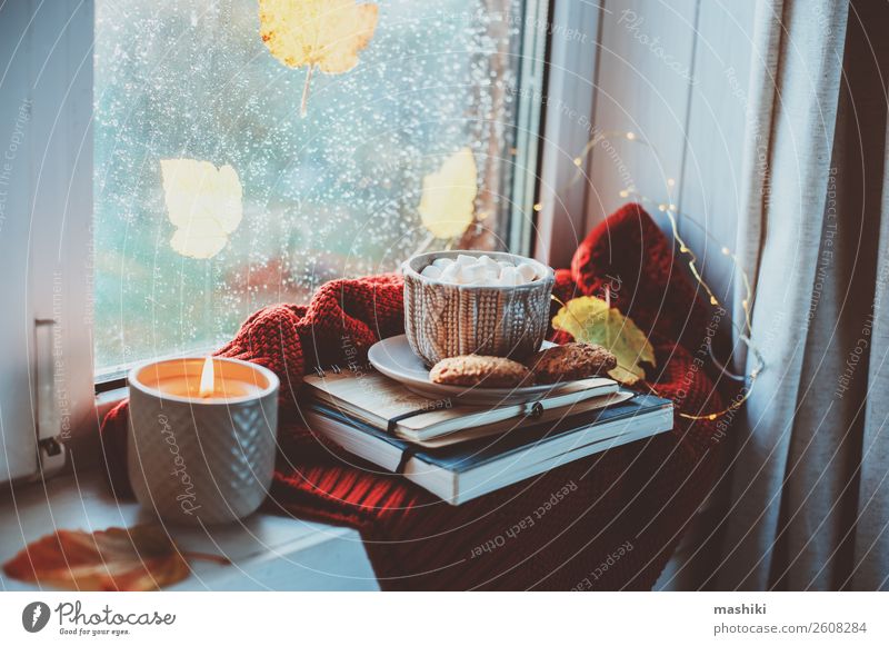 gemütlicher Herbstmorgen zu Hause. Heißer Kakao mit Marshmallows Frühstück Kaffee Tee Lifestyle Leben Erholung Wetter Regen Blatt heiß Geborgenheit bequem Tasse