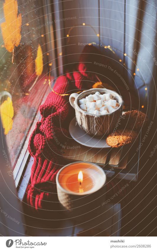 gemütlicher Herbstmorgen zu Hause. Heißer Kakao mit Marshmallows Frühstück Kaffee Tee Lifestyle Leben Erholung Buch Wetter Regen Blatt heiß Geborgenheit bequem