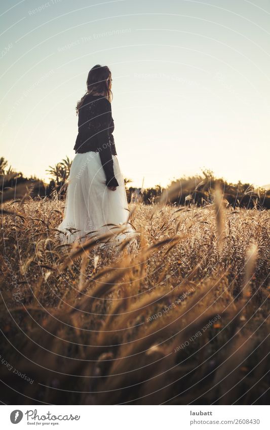 Porträt einer jungen, schönen, zum Horizont blickenden Frau, die inmitten eines Weizenfeldes steht Mädchen Junge Frau Weizenähre Freiheit Stacheln Spike-Feld