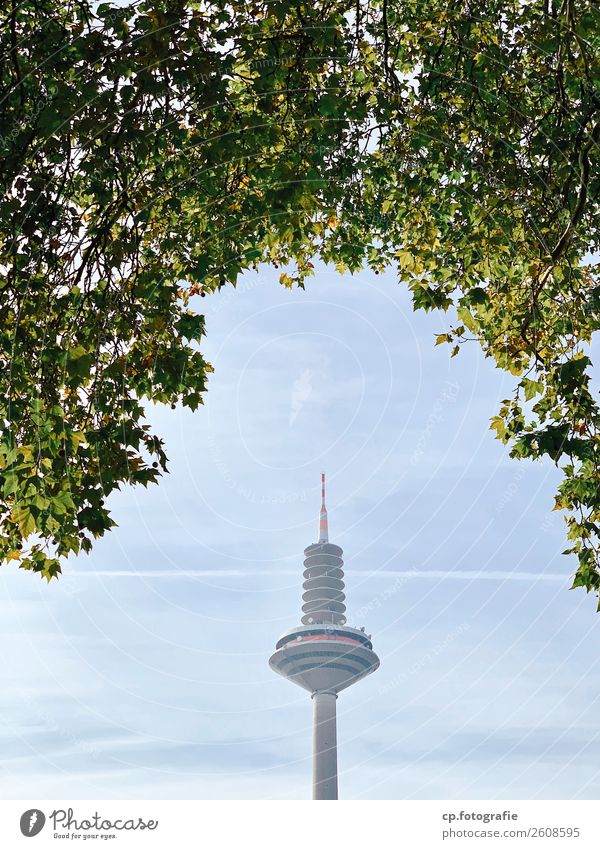 Ginnheimer Spargel Technik & Technologie Telekommunikation Baum Stadt Turm Bauwerk Antenne Satellitenantenne Europaturm Beton Holz blau grau grün