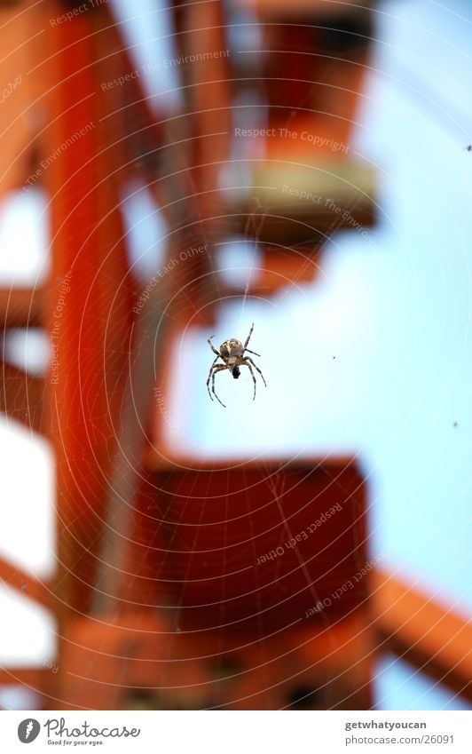 Spiderman Spinne Baustelle Bagger Tier Schweben Krahn Netz Himmel Beine frei Nähgarn hell